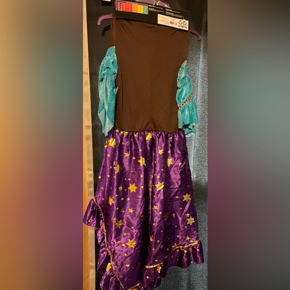 Palm Reader Costume - Picture 4 of 5